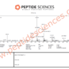 IGF-1 LR3 (Receptor Grade) 1mg